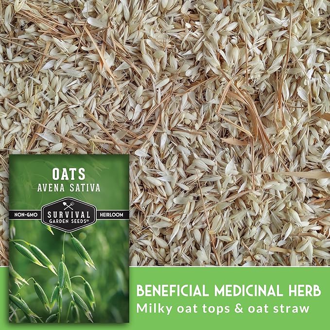 Survival Garden Seeds - Oat Seed for Planting - 3 Packs with Instructions to Plant & Grow Avena Sativa in Your Home Vegetable or Herb Garden - Medicinal Herb & Cover Crop - Non-GMO Heirloom Variety
