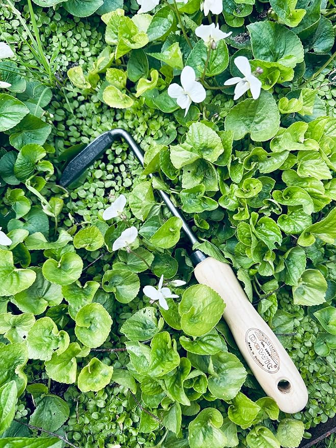 DeWit Right Hand Cape Cod Weeder with Short Handle