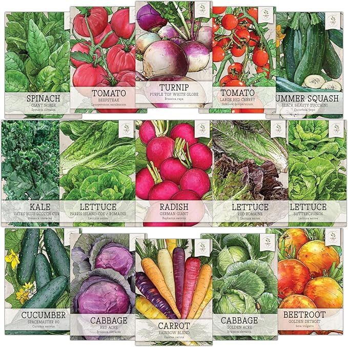 Seed Needs, Vegetable Seed Packet Collection Variety Pack (15 Varieties of Heirloom Vegetable Seeds for Planting) Organically Grow Your Own Produce