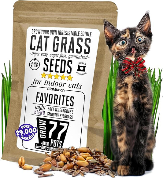 Cat Grass Seeds Favorites Blend – Soft Wheatgrass & Smooth Ryegrass – Grows 77 Pots of Fresh Cat Grass for Indoor Cats –Easy & Fast – Bulk Rescuer's Pack Grows 800 Square inches of Edible cat Grass