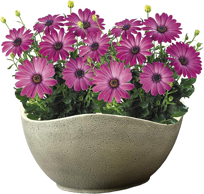 Classic Home and Garden Arc Pot 12" - Stone
