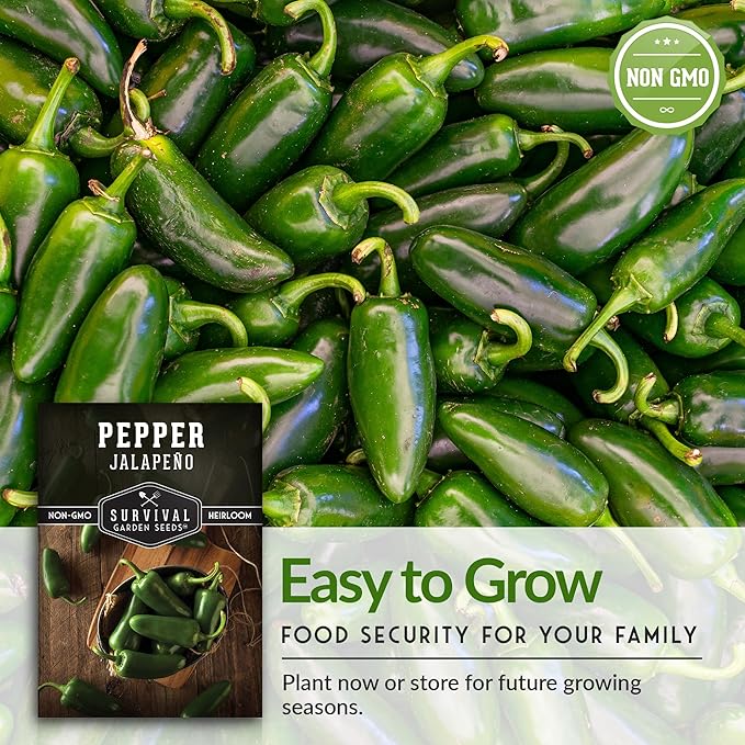 Survival Garden Seeds - Jalapeño Pepper Seed for Planting - Packet with Instructions to Plant and Grow Green or Red Chili Peppers in Your Home Vegetable Garden - Non-GMO Heirloom Variety - 2 Pack