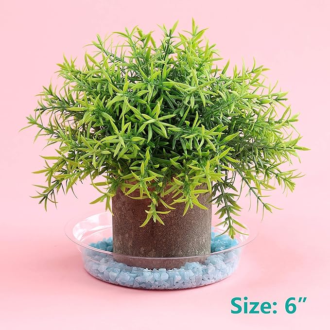 20 Pack 6 Inch Plant Saucers Clear Plastic Plant Saucer Drip Trays Small Plant Plate Dish for Indoor Flower Pots and Planters, Bulk