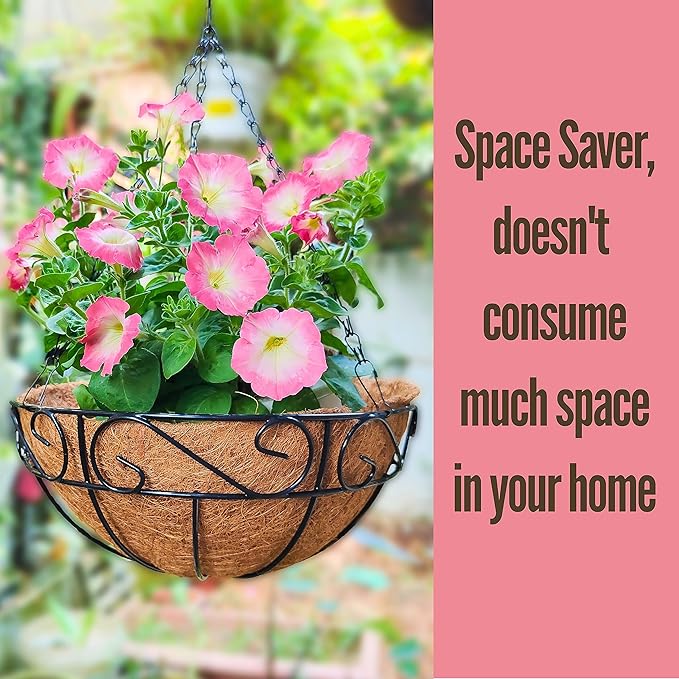 LaLaGreen Hanging Planter for Outdoor Plants (2 Pack, 16 Inch) Hanging Baskets with Coco Liner, Metal Wire Flower Basket Pots with Hook Hanger Balcony Porch Farmhouse Country Style Garden Decor