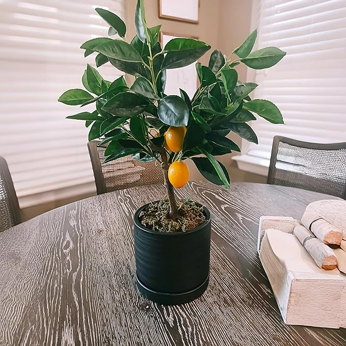 6 Inch Plant Pots, Ceramic Planter Pot with Drainage Hole & Saucer, Indoor/Outdoor Cylinder Round Planter Pot, Matte Black