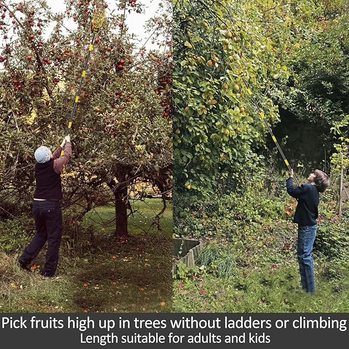 Fruit Picker Pole with Basket Telescopic Pole, 5ft Extendable Fruit Catcher Picking Pole Garden Tools for Picking Fruit from High Apple Cherry Orange Mango Fig Lemon Avocado Fruit Trees