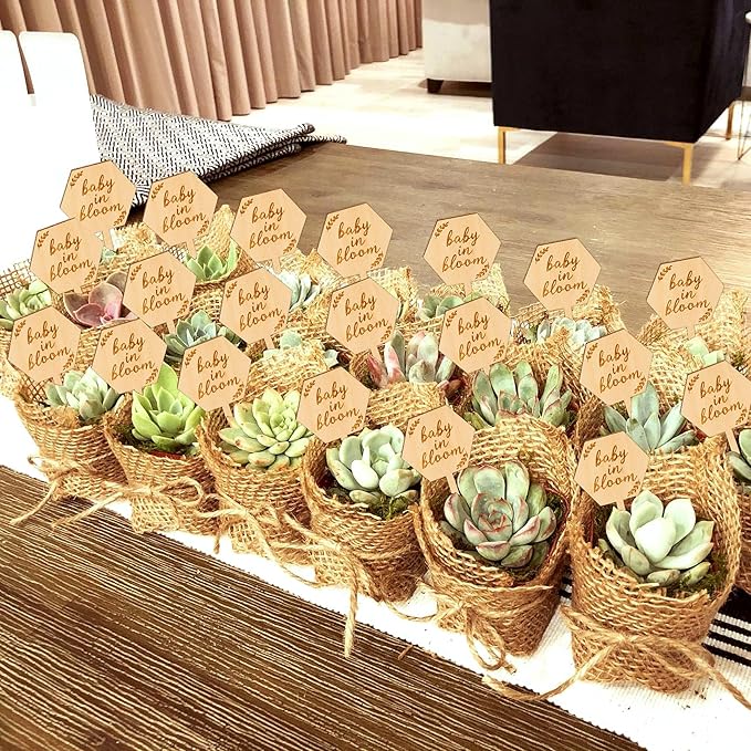 Baby in Bloom Succulent Tags Baby Shower Favors Gifts, PARBEE 40PCS Hexagon Plant Stakes Labels Gift Wooden Garden Stakes Succulent Plant Markers
