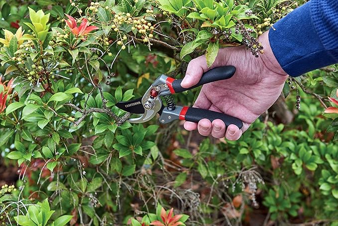 CRAFTSMAN CMXMCBA0700 Bypass Pruning Shears Lightweight Steel, Black
