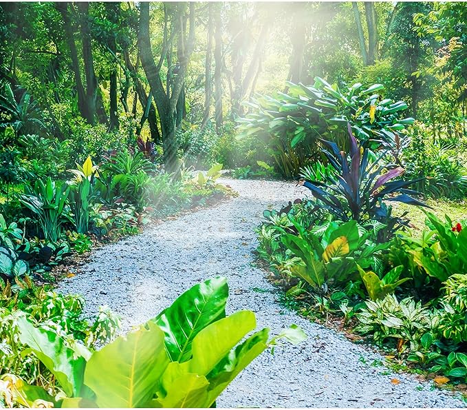 45LB 1/4in White Gravel for Succulent,Cactus Bonsai,DIY Terrarium, Fairy Gardening, Top Dressing,Aquarium