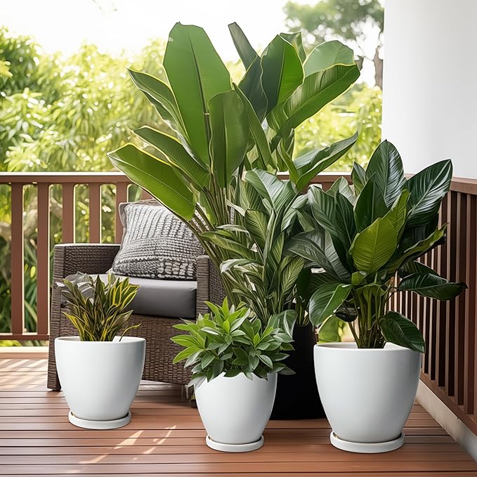 8 Inch Plant Pot - Ceraimc Planter for Indoor Outdoor Plants, Round Flower Pots with Drainage and Tray, House Decor, White