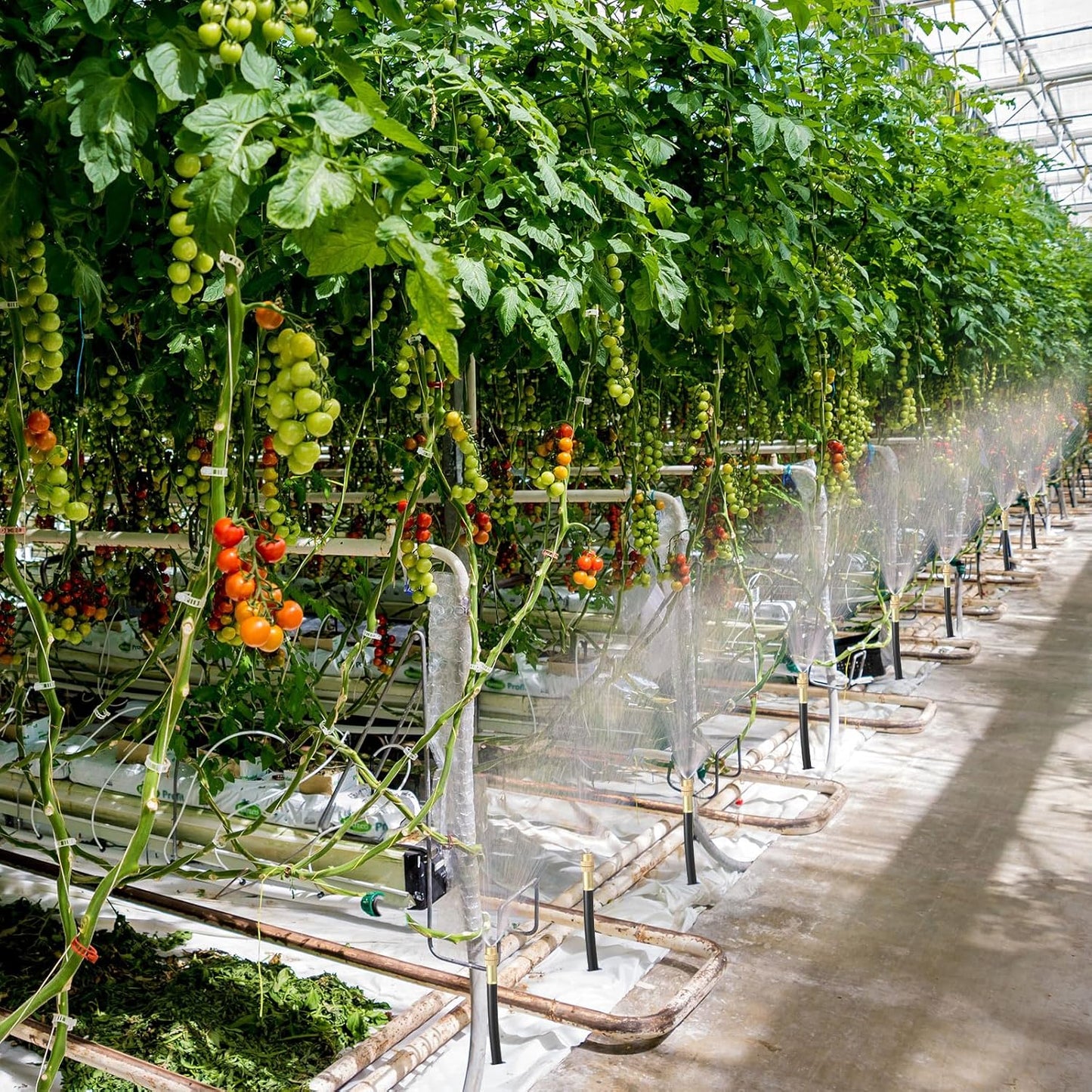 Zonon 10 Pcs Brass Misting Nozzles Tee with 4 Inch Built in Hose 360 Degree Rotation Adjustable Water Mister Nozzles Thread Sprayer 0.043" Misting Parts and Accessories for Patio Outdoor Cooling