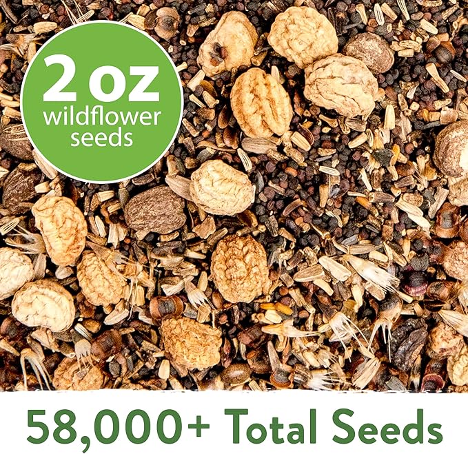 HOME GROWN 58,000+ Wildflower Seeds - Premium Texas Flower Seeds (2oz) Perennial Garden Seeds for Birds & Butterflies - Wild Flowers Bulk Seeds Perennial: 22 Varieties Flower Seed for Planting