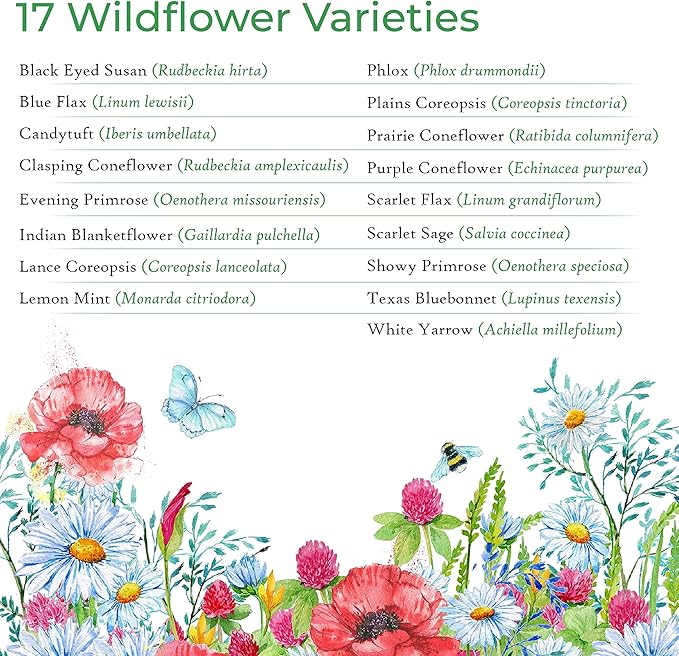 Texas Wildflower Seed Mix, Covers 325 Sq Ft, 17 Flower Varieties, Over 60,000 Seeds - Created By Nature