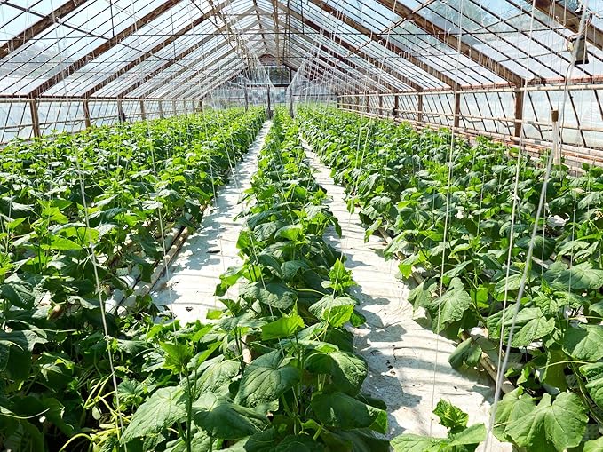 Palmetto Vermiculite Company 4 Cubic Foot Planting Soil Additive (Perlite)