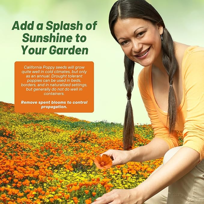 Outsidepride Eschscholzia Orange California Poppy Seeds - 1 lb. Annual, Native, Drought Tolerant Wildflower Seeds w/Vibrant Blooms for Full Sun & Drought-Tolerant Pollinator-Friendly Gardens