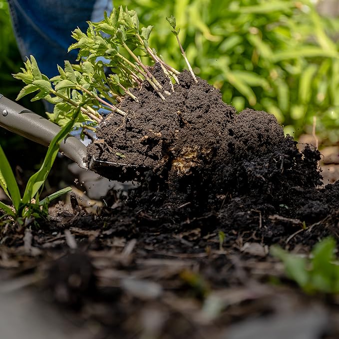 Radius Garden 25811 Pro-Lite Carbon Steel Floral Shovel, Red