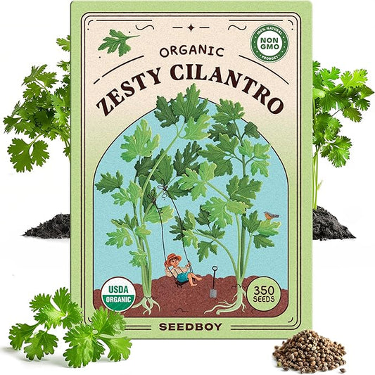 Organic Cilantro 'Slow Bolt' Herb Seeds for Indoor Gardening or Planting Outdoors, Non-GMO and USDA Certified Herb Seed Packets, 350 Seeds/5 Grams (Cilantro)