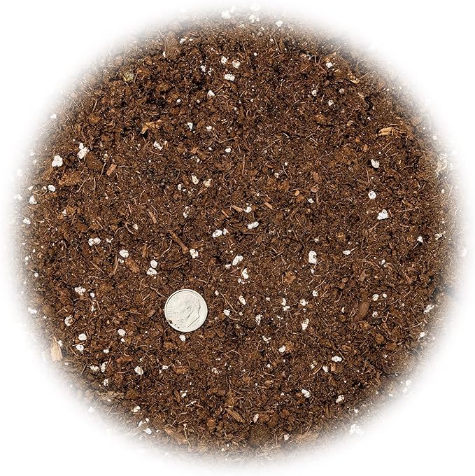 Money Tree Potting Soil, Soil Mix for Planting or Repotting Guiana Chestnut, Soil Blended to Properly Grow Money Tree Plants - (5 Quart Bag)