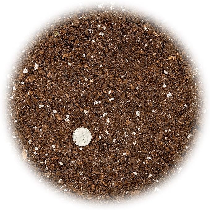 Gardenera's Tangerine Tree Planting Mix : The Perfect Soil Formula for Thriving, Healthy Citrus Fruits! - 5 Quart