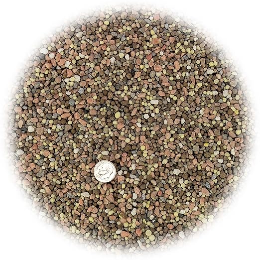 Premium 8-10-10 Fertilizer for Palm Trees, Citrus Plants and Other Tropical Plants by Gardenera - Boost Biomass and Enhance Leaf Color - 2 Quart