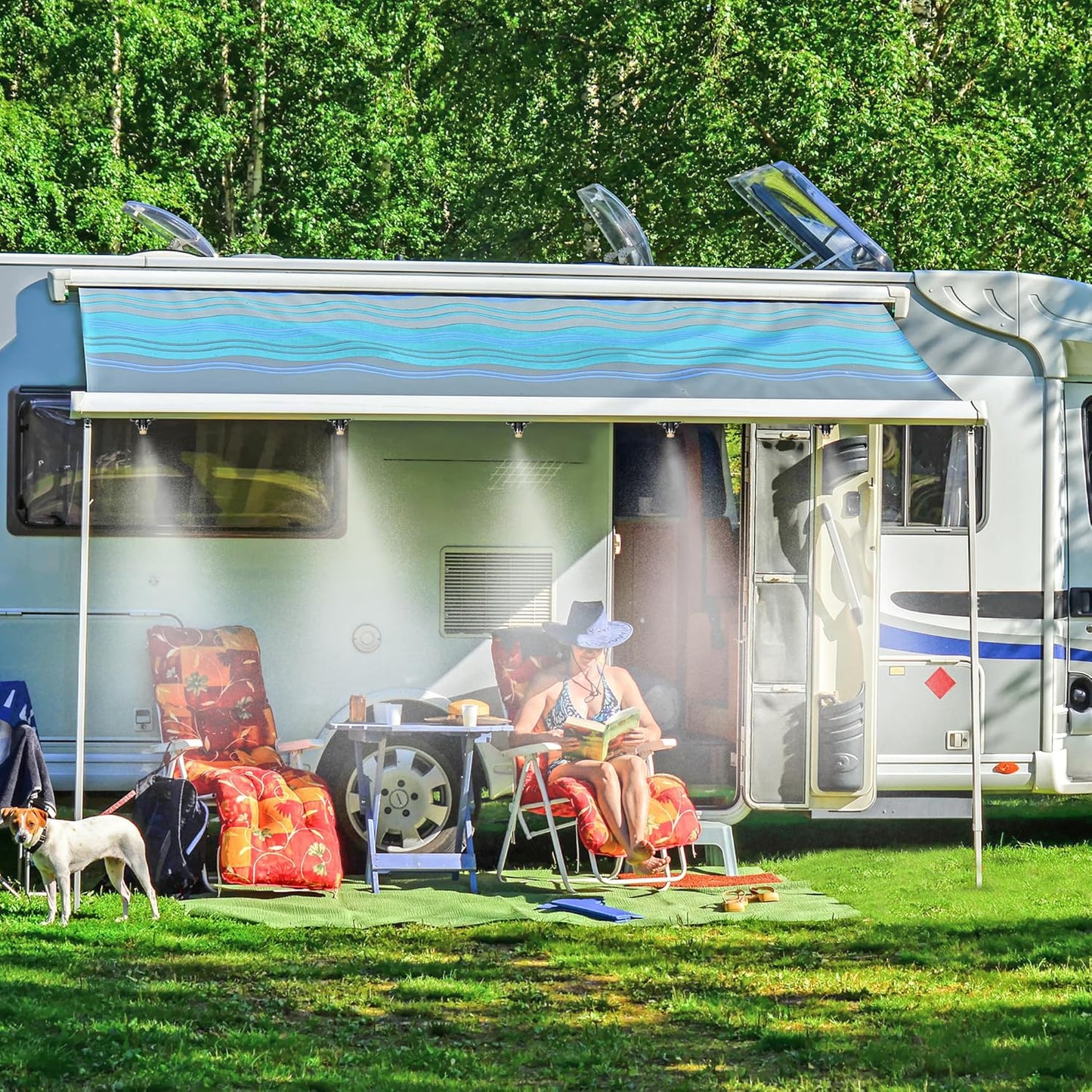 12 Pack Brass Misting Nozzles Outdoor Cooling System with 12 Heavy Duty Misting Nozzle,12 Tees,2 Brass Plugs,2 Black Plugs for Outdoor Cooling system