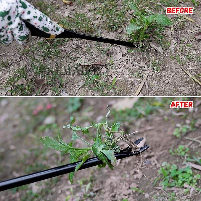 2-Piece Heavy-Duty Stainless Steel Garden Weeding Tool Set with Weed Puller and Crack Weeder, Quantang Handle