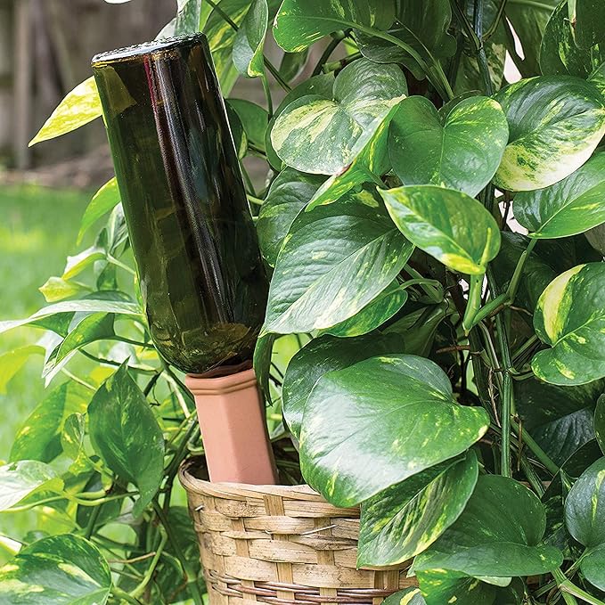 Clay Plant Watering Equipment Holiday Plant Wine Bottle Drinker Slow-Release Plant Watering Head is an Automatic Watering Device, Suitable for Indoor and Outdoor Plants (PVC Label, Random Gift) (10)