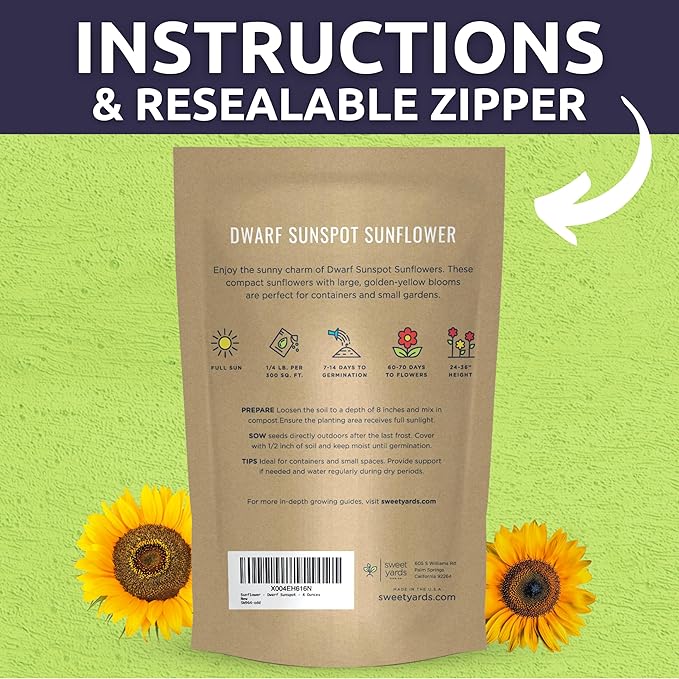 Dwarf Sunspot Sunflower - Bulk 1/4 Pound Pouch - 5,000 Flower Seeds for Planting - Helianthus annuus