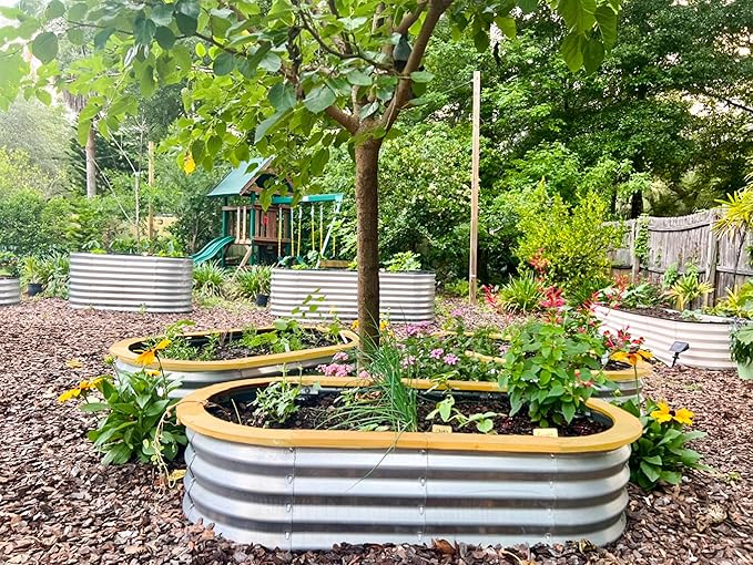 Galvanized Raised Garden Beds Outdoor // 4×2×1 ft Planter Raised Beds for Gardening, Vegetables, Flowers // Large Metal Garden Box (Silver and Light Fir) // Patented Tool-Free Design