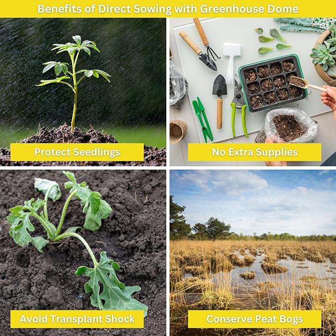 Kids Outdoor Sunflower Garden Kit - Complete Kit for Growing Your Own Sunflowers from Seeds with Grow Rings and Greenhouse Germination Domes, Non-GMO Seeds, BPA-Free