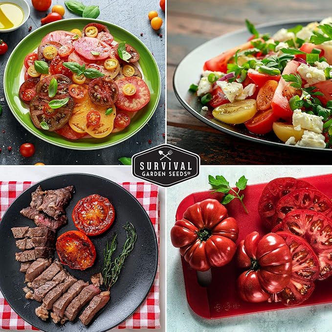 Survival Garden Seeds - Heirloom Rainbow Mix Tomato Seed for Planting - 2 Packets with Instructions to Plant and Grow in Your Home Vegetable Garden - Non-GMO Heirloom Variety - 2 Packs