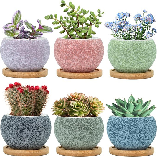 3 inch Ceramic pots for Plants, Small Succulent Pots Set with Drainage, 6 Pack Flower Pot for Indoor Plant, Decorative Planters for Little or Mini Cactus