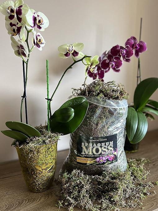 Organic Green Sphagnum Moss for Orchids, Indoor and Outdoor Plants - Dried for Decorative Gardening (Medium Pack - 5 litres / 250 gr / 18 oz)