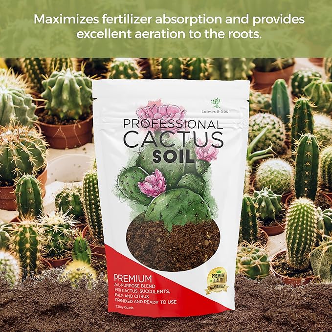 Professional Cactus Soil | Large 2.2 Quarts Ready to Use for Cactus Plants | Peat Moss, Coco Coir, Perlite, Dolomite | Made in USA