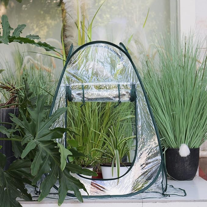 Gardzen 2-Pack 27"x27"x31" Pop up Grow Greenhouse Small Greenhouse, Portable Plant Flowers Mini Green House Cover for Outdoor & Indoor Use