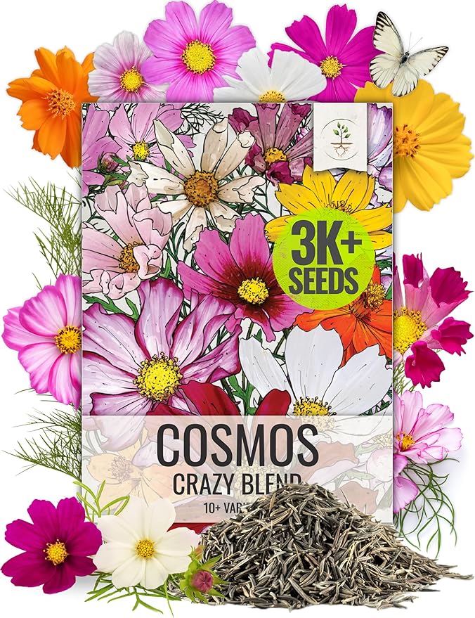 Seed Needs Cosmos Flower Seeds 10+ Varieties Specialty Crazy Blend (Cosmo Bipinnatus, Open Pollinated, Untreated) Resealable Pouch Flowering Wildflower Seeds Mixed Variety - Bulk