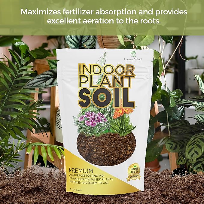 Indoor Plant Soil Premium All Purpose Blend | Large 2.2 Quarts | Ready to Use for Indoor Container and Houseplants | Peat, Coco Coir, Perlite, Dolomite | Made in USA