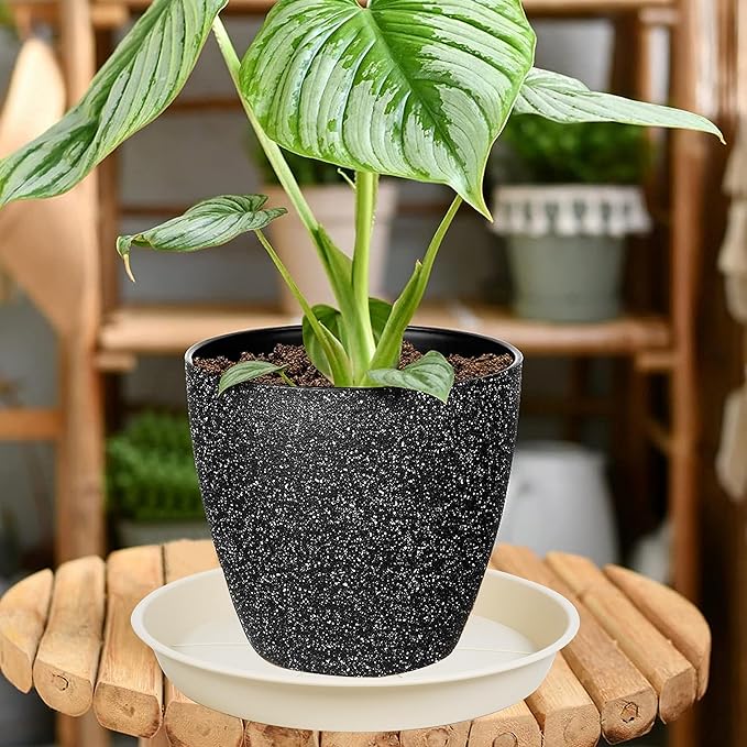 3 Pack of Plant Saucer 25 26 inch, 4.2" Depth, Large Heavy Duty Plastic Saucers 24" 26" Round, Plant Drip Trays for for Indoors Outdoor, Plant Water Tray for Planters 23-27" (26", Beige)