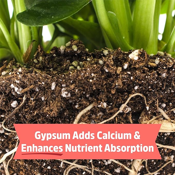 Back to the Roots 100% Organic Bone Meal | Made in The USA | Premium Nutrition for Indoor and Outdoor Plants