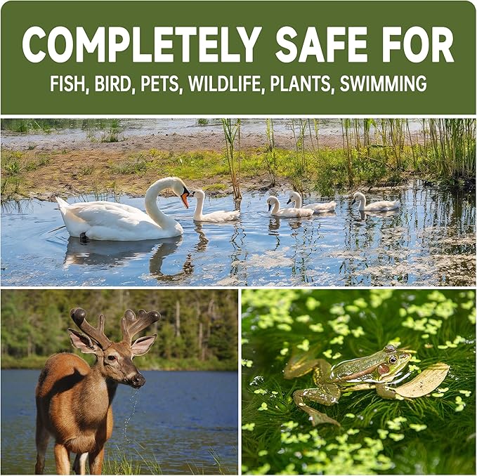 Muck Reducer - 15LB Natural Sludge Solution Tablets for Ponds & Lakes, Away Muck & Odor Control, Safe for Aquatic Life, Wildlife & Recreation, Treats Up to 90,000 Sq Ft