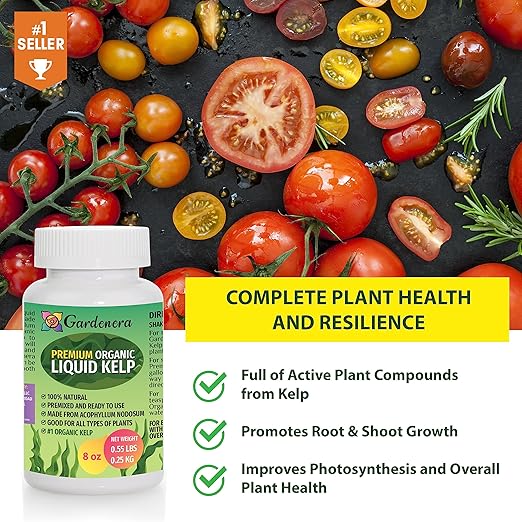 Organic Liquid Kelp Fertilizer - 32 oz -Enhance Your Garden's Yield with Seaweed Fertilizer for Plants - Concentrated Kelp & Seaweed Extract