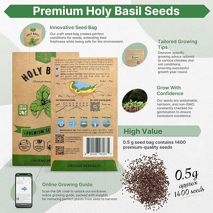 Holy Basil Seeds Pack 0.5 G - Over 1,400 Non-GMO Heirloom Basil Seeds for Planting Herbs in Individual Seed Packet, Herbs Seeds for Planting Home Garden Indoor & Outdoor Gardening