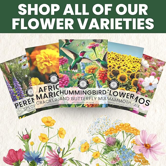 Crazy Cosmos Mix - Large 1 Ounce Packet - 5,000 Flower Seeds for Planting - Cosmos bipinnatus