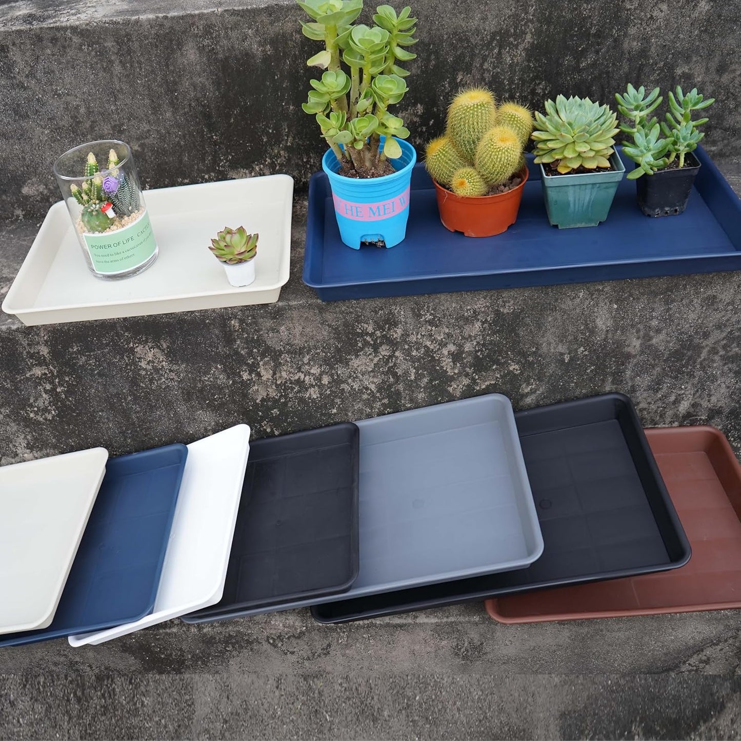 Plant Saucer Growing Tray, Seed Starter Tray Rectangular, Heavy Sturdy Plastic Plant Saucers Drainage Trays, Plant Drip Trays for Pots, Seed Starter Growing Tray (11 x 9 inch, 6 Pack)