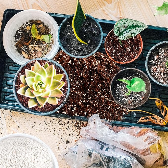 9 Quarts Perlite for Plant Soil - Amendment for Potting Soil, Improves Drainage and Aeration for Soil,Better for Root Growth…