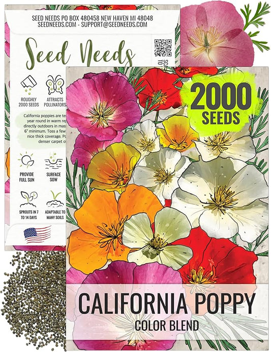 Seed Needs Mixed California Poppy Seeds for Planting - Heirloom & Open Pollinated Tender Perennial - Colorful Mixture of Flowers to Plant a Butterfly Garden (1 Pack)