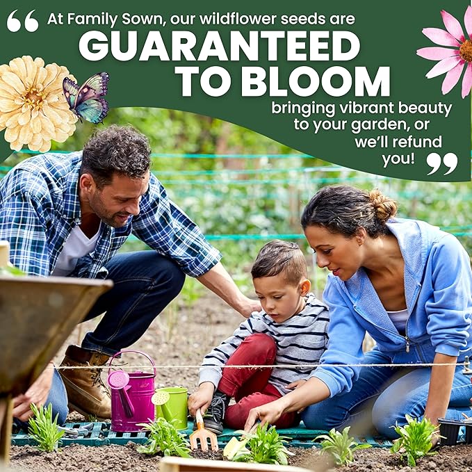 African Marigold Crackerjack - Large 1 Ounce Packet - 10,000 Flower Seeds for Planting - Tagetes erecta