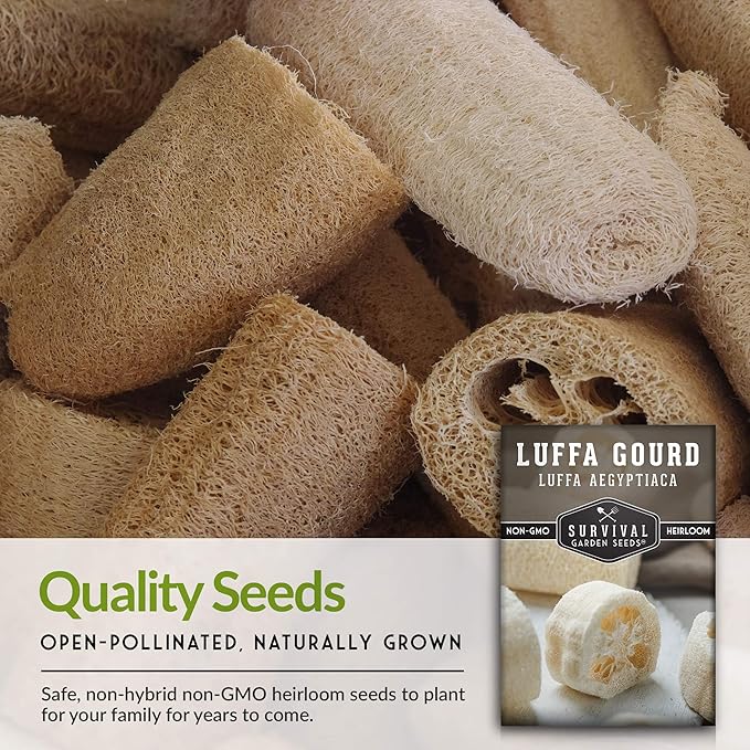 Survival Garden Seeds - Luffa or Loofah Seed for Planting - 3 Packets with Instructions to Plant and Grow Ornamental Gourds in Your Home Vegetable Garden - Non-GMO Heirloom Variety