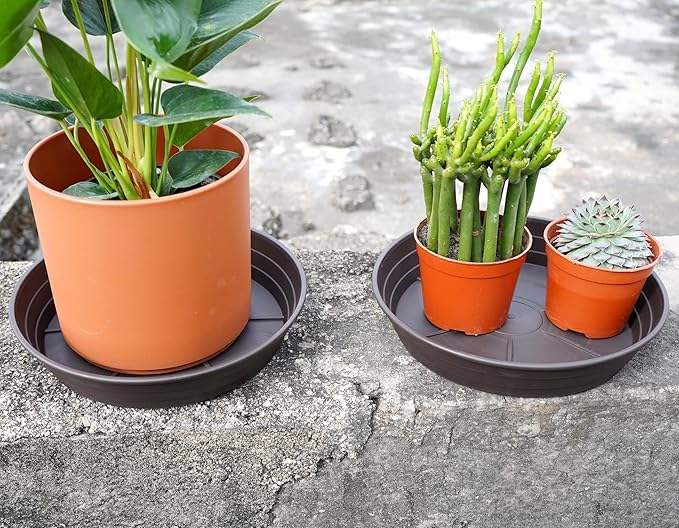 Plant Saucer 6 Inch 4 Pack 6 8 10 12 14 16 18 20 25, Plastic Plant Trays for Pots，Extra-Deep Plant Water Dray Tray, Bird Bath Bowl, Heavy Flower Plant saucers Indoors and Outdoor No Holes 6in-4 brown