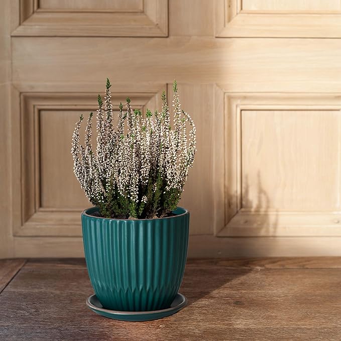 D'vine Dev Set of 2 Stoneware Planter Pots, Ceramic Pot with Drainage Hole and Saucers, 4.5 Inch 5.8 Inch, Dark Blue Green, 99-D-4